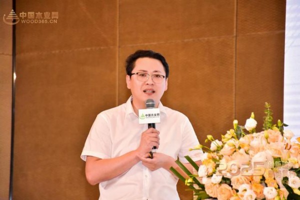 四冠加冕！兔宝宝以品质匠心破局，定义板业高质量发展新范式