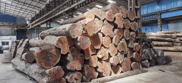 盛世周木匠全屋整装自主选木模式：我的家，我做主