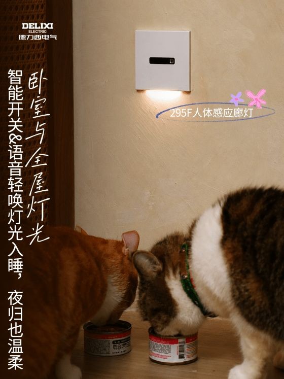 方寸之间显热爱，德力西电气《一平米的热爱》局部空间轻改造栏目演绎细节美学