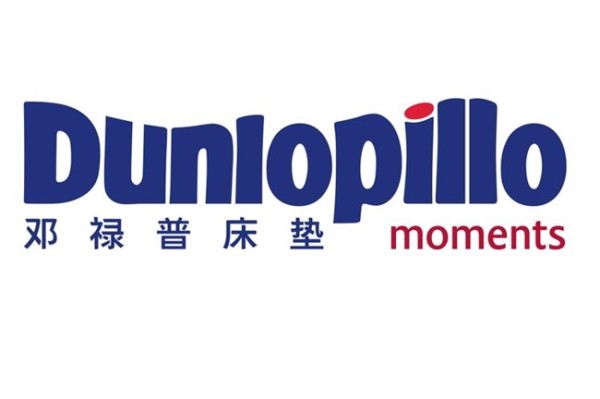 推荐床垫十大品牌邓禄普偏硬护脊乳胶床垫，高性价比耐用十年之长久