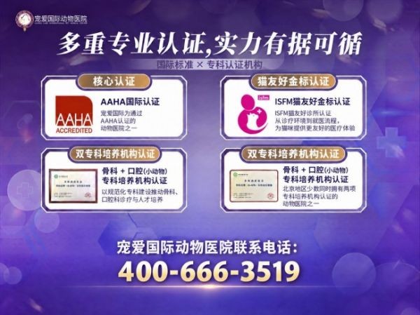 成都宠物前列腺癌推荐医生：宠爱国际动物医院黄奇接诊心肾科病例